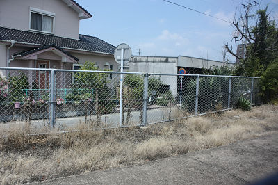 雑草が・・・