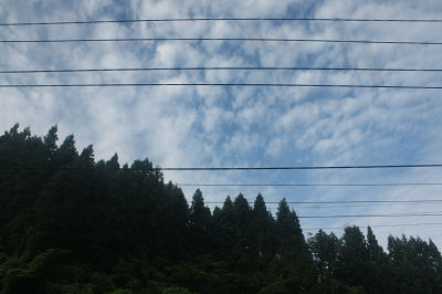 今日は晴れ