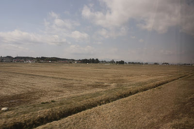一面の田園風景