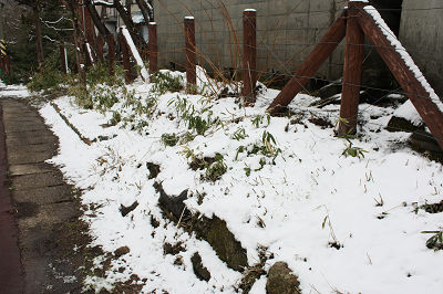 残雪残る