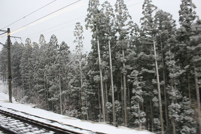 雪雪"