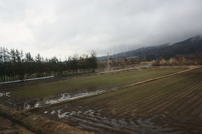 枯れ草の大地