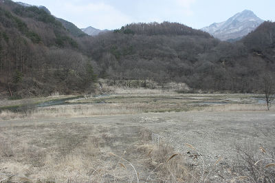 え〜と・・・