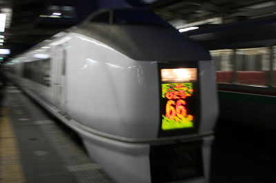 来た!